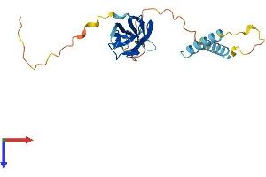 MOSPD3 Protein (AA 1-235) (His tag)
