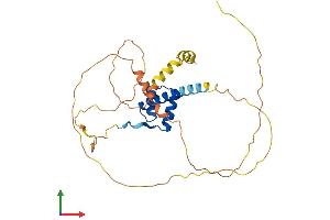 Protein Structure (PS) image for Paired-Like Homeobox 2b (PHOX2B) (AA 1-314) protein (His tag) (ABIN7550818)