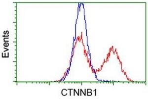 HEK293T cells transfected with either RC208947 overexpress plasmid (Red) or empty vector control plasmid (Blue) were immunostained by anti-CTNNB1 antibody (ABIN2454167), and then analyzed by flow cytometry. (CTNNB1 抗体)