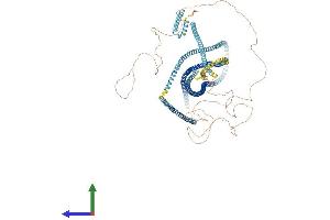 AlphaFold protein structure predicition of Mouse Recombinant Ccdc40 Protein, UniprotID Q8BI79