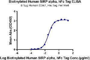 Immobilized Human CD47 at 1 μg/mL (100 μL/Well) on the plate.