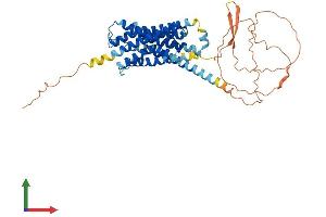 Protein Structure (PS) image for Dopamine Receptor D3 (DRD3) (AA 1-446) protein (His tag) (ABIN7563096)