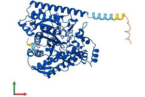 Protein Structure (PS) image for Fatty Acid Amide Hydrolase (FAAH) (AA 1-579) protein (His tag) (ABIN7553871)