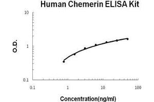 Human Chemerin/RARRES2 PicoKine ELISA Kit standard curve (Chemerin ELISA 试剂盒)