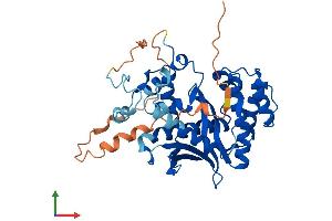 Protein Structure (PS) image for Exonuclease 5 (EXO5) (AA 1-373) protein (His tag) (ABIN7560723)