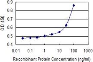 Detection limit for recombinant GST tagged A2M is 3 ng/ml as a capture antibody. (alpha 2 Macroglobulin 抗体  (AA 641-730))