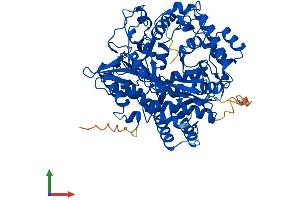 Protein Structure (PS) image for Glutamate-Cysteine Ligase, Catalytic Subunit (GCLC) (AA 1-637) protein (His tag) (ABIN7548134)