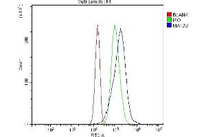 Flow Cytometry analysis of JK cells using anti-MAT2B/TGR antibody (ABIN7601904).