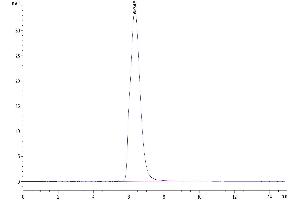 Size-exclusion chromatography-High Pressure Liquid Chromatography (SEC-HPLC) image for Interleukin 5 Receptor, alpha (IL5RA) (AA 21-335) protein (Fc Tag) (ABIN7275023)