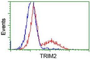 HEK293T cells transfected with either RC203947 overexpress plasmid (Red) or empty vector control plasmid (Blue) were immunostained by anti-TRIM2 antibody (ABIN2453859), and then analyzed by flow cytometry. (TRIM2 抗体  (AA 1-100, AA 1500-1600))