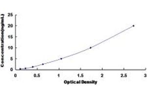 Typical standard curve (SOCS2 ELISA 试剂盒)