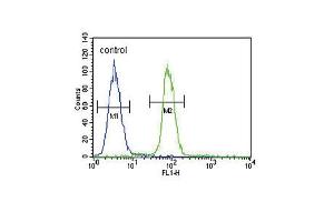 Flow Cytometry (FACS) image for anti-S100 Calcium Binding Protein B (S100B) antibody (ABIN651265)
