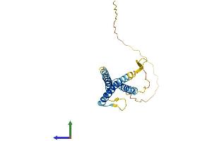 Protein Structure (PS) image for Solute Carrier Family 31 (Copper Transporters), Member 1 (SLC31A1) (AA 1-190) protein (His tag) (ABIN7546652)