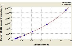 Typical Standard Curve (ENOX2 ELISA 试剂盒)
