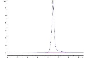 Size-exclusion chromatography-High Pressure Liquid Chromatography (SEC-HPLC) image for B and T Lymphocyte Associated (BTLA) (AA 31-150) protein (His-Avi Tag) (ABIN7273998)