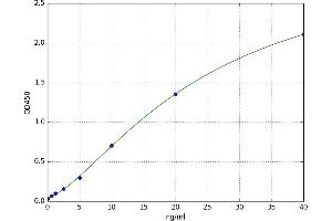 CD28 (CD28) ELISA Kit