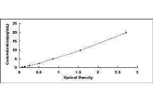 Typical standard curve (TNKS ELISA 试剂盒)