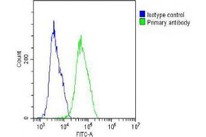 Overlay histogram showing MCF-7 cells stained with Antibody (green line). (Vitronectin 抗体  (N-Term))