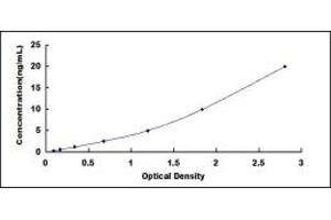 Typical standard curve (MACC1 ELISA 试剂盒)