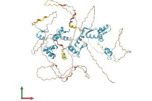 Protein Structure (PS) image for CCCTC-Binding Factor (Zinc Finger Protein) (CTCF) (AA 1-727) protein (His tag) (ABIN7553593)