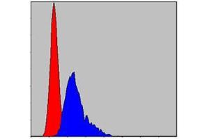 Flow cytometric analysis of NIH/3T3 cells using CCT2 mouse mAb (blue) and negative control (red).