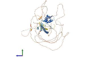Protein Structure (PS) image for BTB and CNC Homology 1, Basic Leucine Zipper Transcription Factor 2 (BACH2) (AA 1-839) protein (His tag) (ABIN7563540)