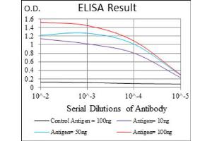 ELISA image for anti-Solute Carrier Family 27 (Fatty Acid Transporter), Member 2 (SLC27A2) (AA 346-405) antibody (ABIN1845739)