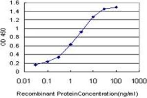 Detection limit for recombinant GST tagged SIM2 is approximately 0. (SIM2 抗体  (AA 426-526))