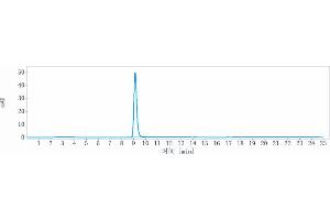 The purity of Anti-FGFR3 / CD333 Reference Antibody (LY3076226) is more than 95 % , determined by SEC-HPLC. (Recombinant FGFR3 抗体)