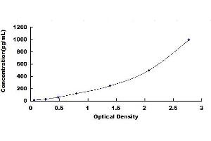 Typical standard curve (Klotho ELISA 试剂盒)