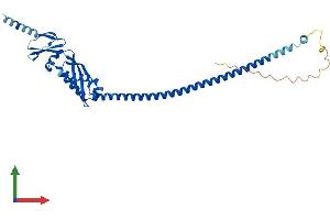 Protein Structure (PS) image for ER Lipid Raft Associated 2 (ERLIN2) (AA 1-339) protein (His tag) (ABIN7553846)