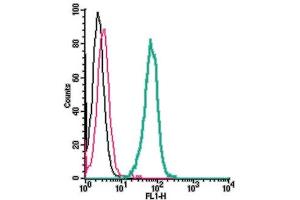 Cell surface detection of Neogenin by indirect flow cytometry in live intact human  monocytic leukemia cell line: + goat-anti-rabbit-FITC.