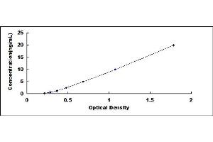 Typical standard curve (BHMT ELISA 试剂盒)