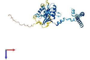 PSMD14 Protein (AA 1-310) (His tag)