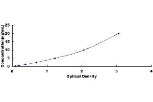 Typical standard curve (CRYL1 ELISA 试剂盒)