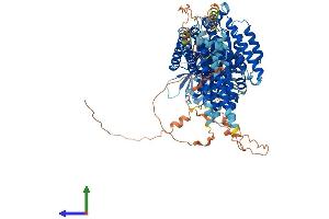 AlphaFold protein structure predicition of Human Recombinant INPP4A Protein, UniprotID Q96PE3