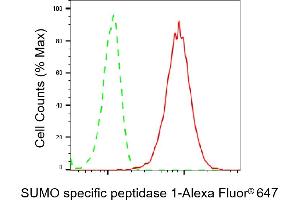 Flow cytometric analysis of SUMO specific peptidase 1 expression in HepG2 cells using SUMO specific peptidase 1 antibody (ABIN7800975), 1:2,000). (Recombinant SUMO Specific Peptidase 1 抗体)
