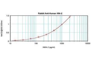 Image no. 5 for anti-Melanoma Inhibitory Activity Protein 2 (MIA2) antibody (ABIN464848) (MIA2 抗体)