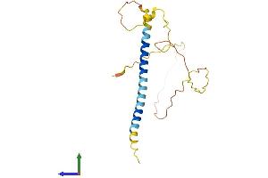 Protein Structure (PS) image for Bcl2 Modifying Factor (BMF) (AA 1-185) protein (His tag) (ABIN7560145)