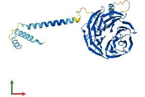 Protein Structure (PS) image for Platelet-Activating Factor Acetylhydrolase 1b, Regulatory Subunit 1 (45kDa) (PAFAH1B1) (AA 1-410) protein (His tag) (ABIN7554413)