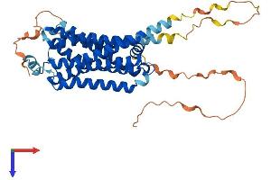 AlphaFold protein structure predicition of Human Recombinant ADRB3 Protein, UniprotID P13945