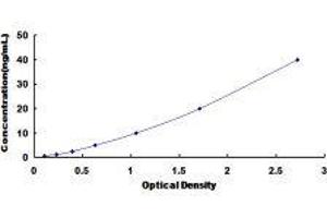 Growth Arrest and DNA-Damage-Inducible, gamma (GADD45G) ELISA Kit