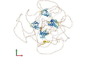 Protein Structure (PS) image for Interleukin 16 (IL16) (AA 1-1322) protein (His tag) (ABIN7562421)