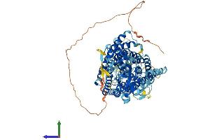 AlphaFold protein structure predicition of Human Recombinant CLCN7 Protein, UniprotID P51798 (CLCN7 Protein (AA 1-805) (His tag))