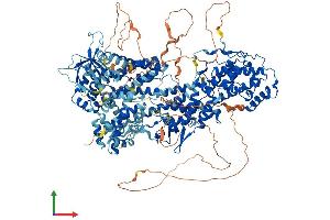 Protein Structure (PS) image for Son of Sevenless Homolog 1 (SOS1) (AA 1-1333) protein (His tag) (ABIN7555532)