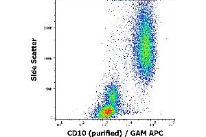 Flow cytometry surface staining pattern of human peripheral whole blood stained using anti-human CD10 (MEM-78) purified antibody (concentration in sample 1 μg/mL, GAM APC). (MME 抗体)