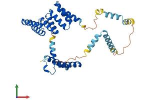 Protein Structure (PS) image for Small Glutamine-Rich Tetratricopeptide Repeat (TPR)-Containing, alpha (SGTA) (AA 1-315) protein (His tag) (ABIN7558706)