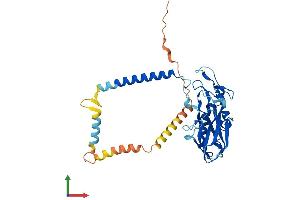 Protein Structure (PS) image for ATPase, Na+/K+ Transporting, beta 4 Polypeptide (ATP1B4) (AA 1-356) protein (His tag) (ABIN7560404)