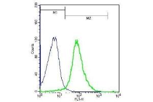 Mouse splenocytes probed with Rabbit Anti-ADAM8 Polyclonal Antibody, Unconjugated . (ADAM8 抗体  (AA 51-150))