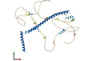 Protein Structure (PS) image for Spindle and Kinetochore Associated Complex Subunit 3 (SKA3) (AA 1-411) protein (His tag) (ABIN7559113)
